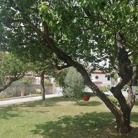 Monferrato Asti-Luminosa Villa CastellʼAlfero Eksteriør billede